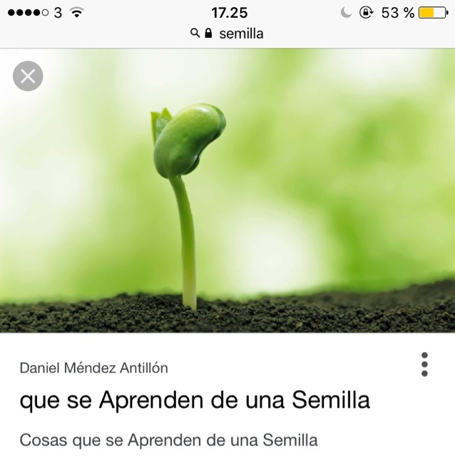 profil