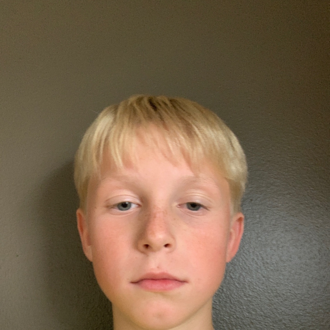 profil