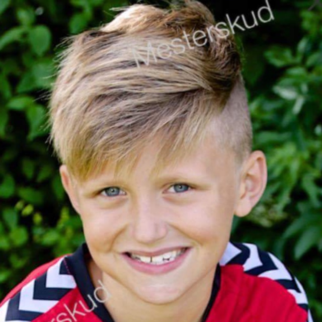 profil