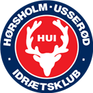 ude logo