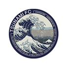 ude logo