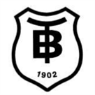 ude logo