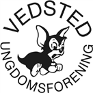 ude logo