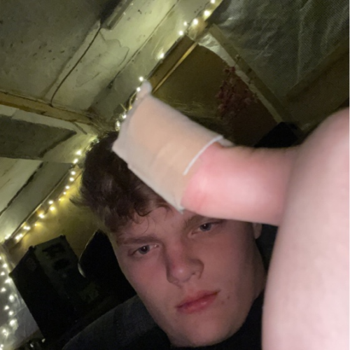 profil