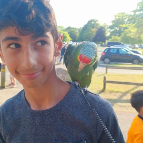 profil