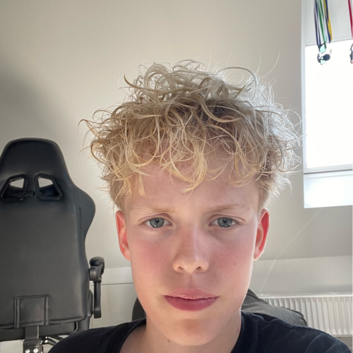 profil