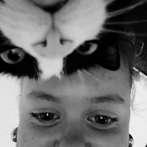 profil