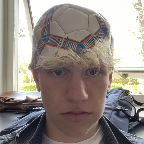 profil
