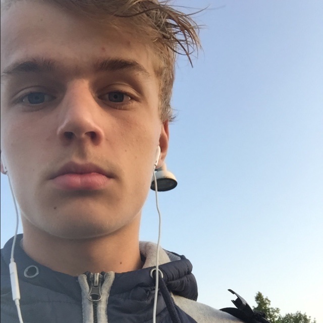profil