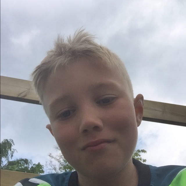 profil
