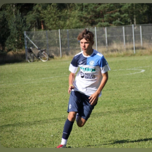 profil