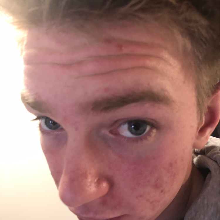 profil