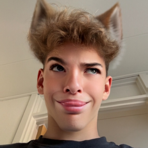 profil