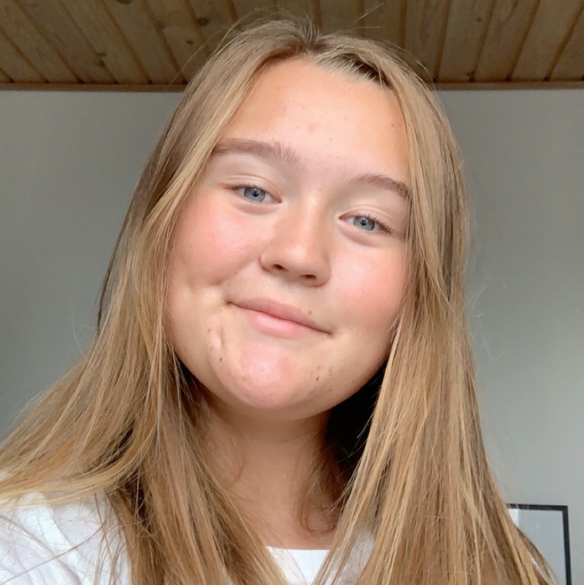 profil