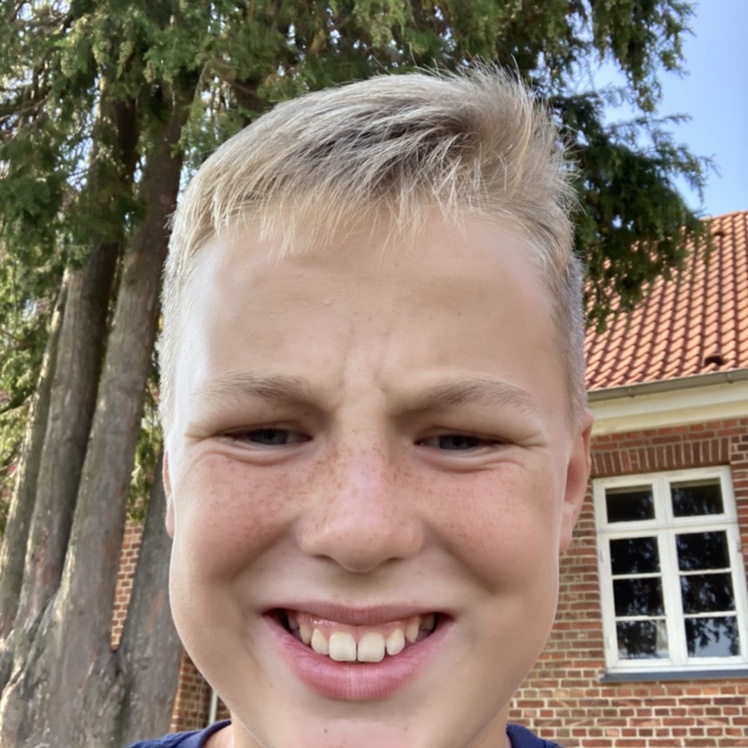 profil