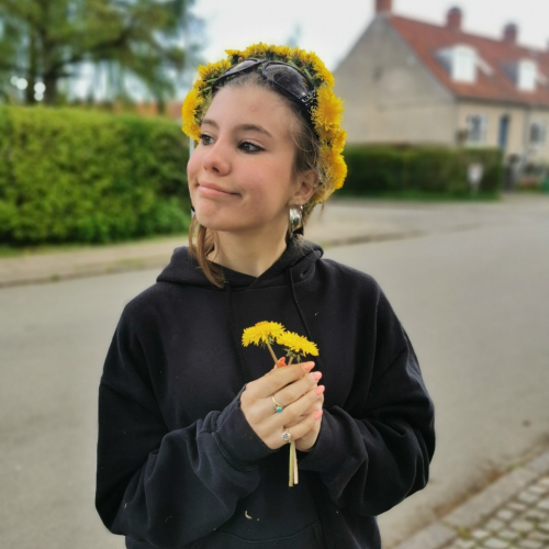 profil