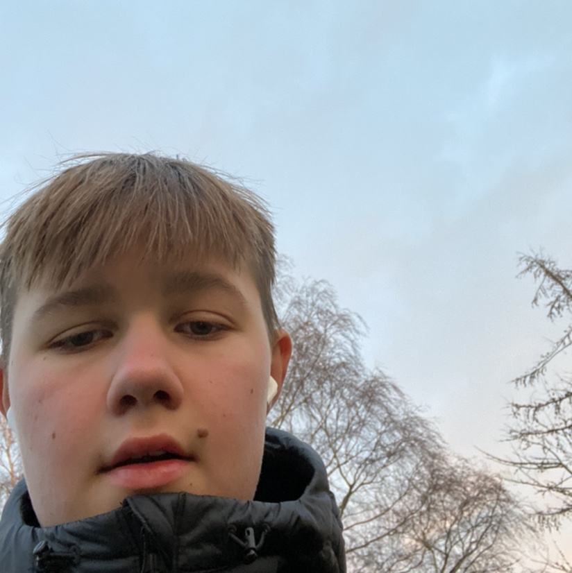 profil