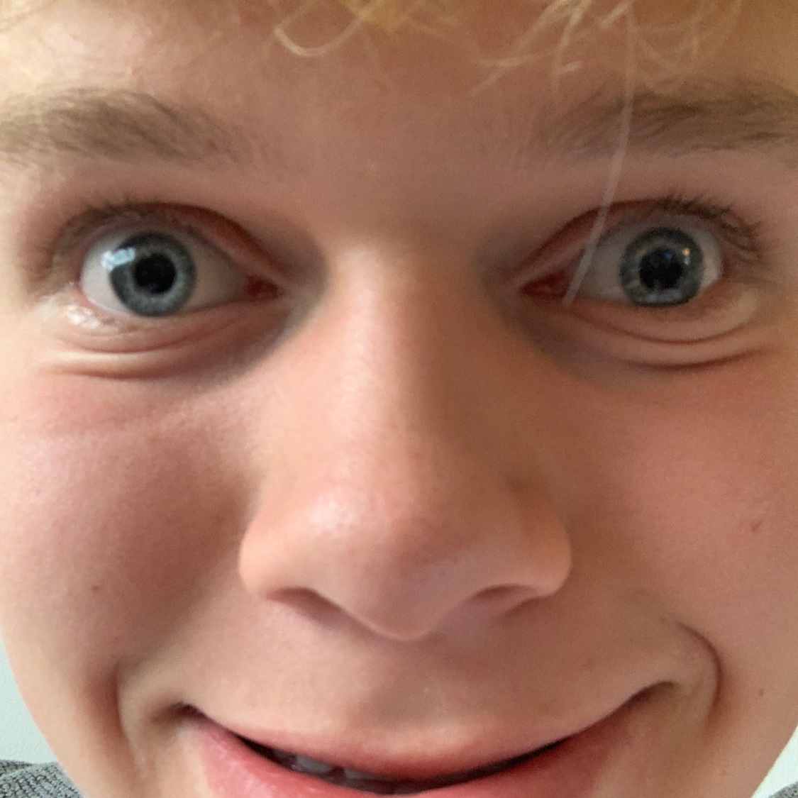 profil