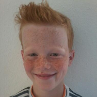 profil