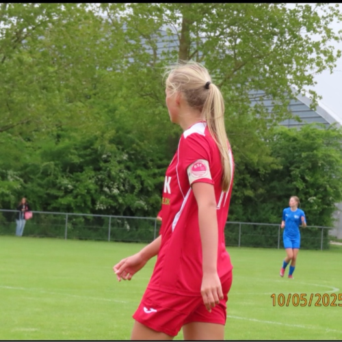profil