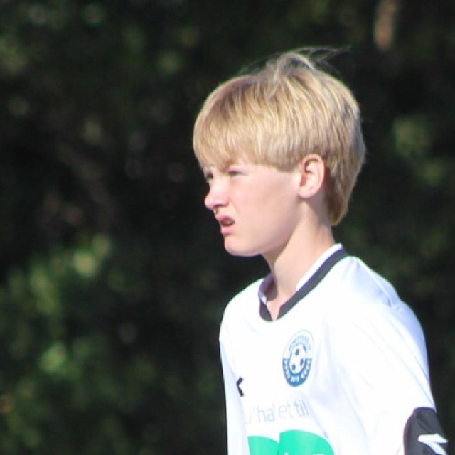 profil