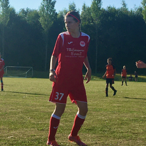 profil