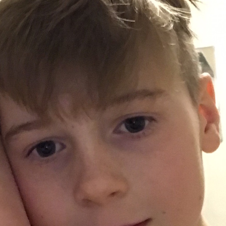 profil