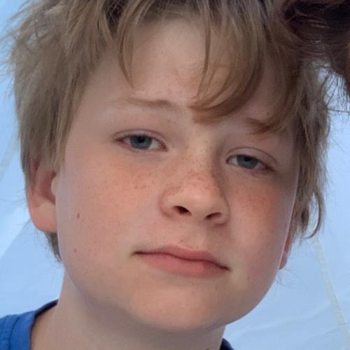 profil