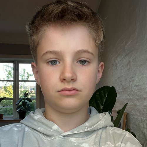 profil
