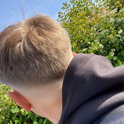 profil