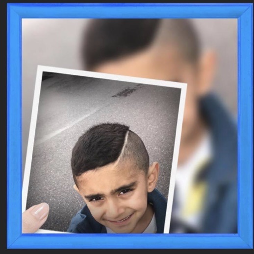profil