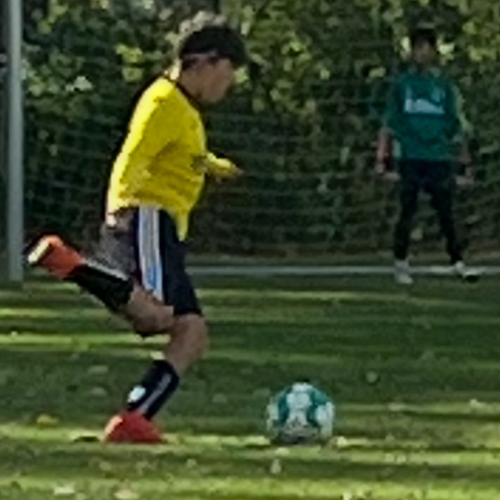 profil