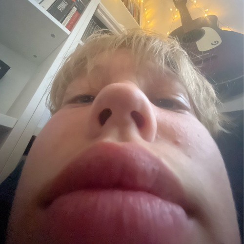 profil