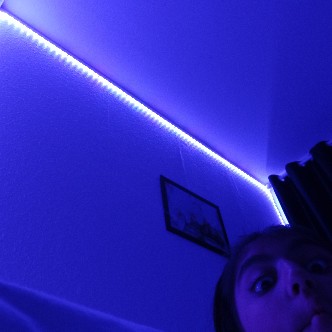 profil