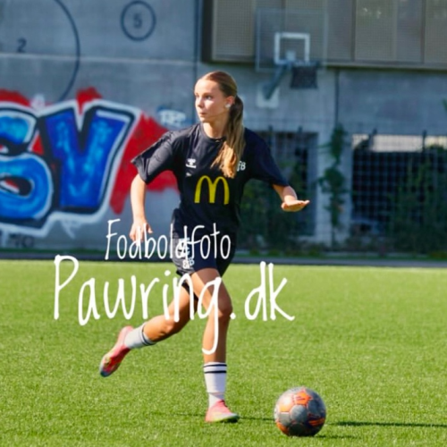 profil
