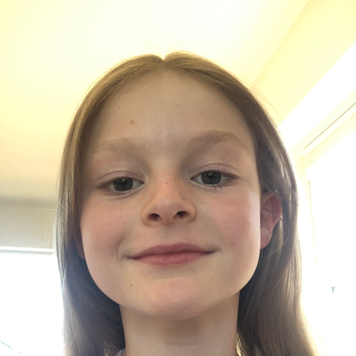 profil