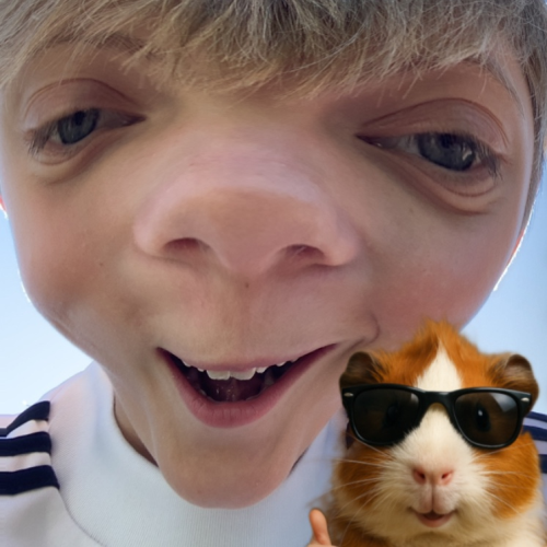 profil