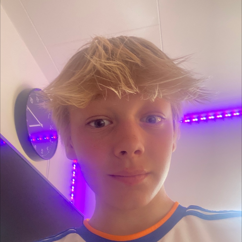 profil