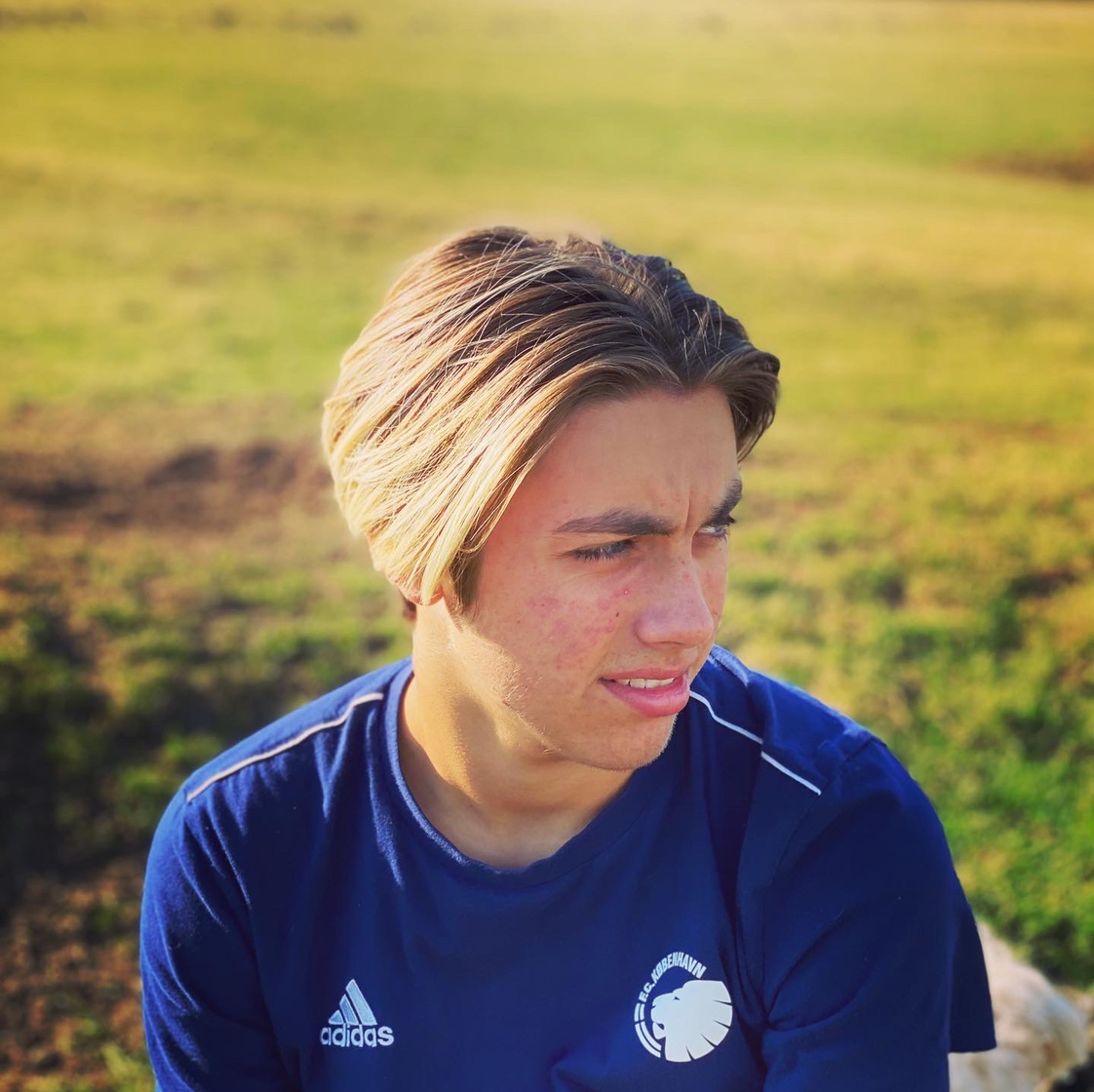 profil