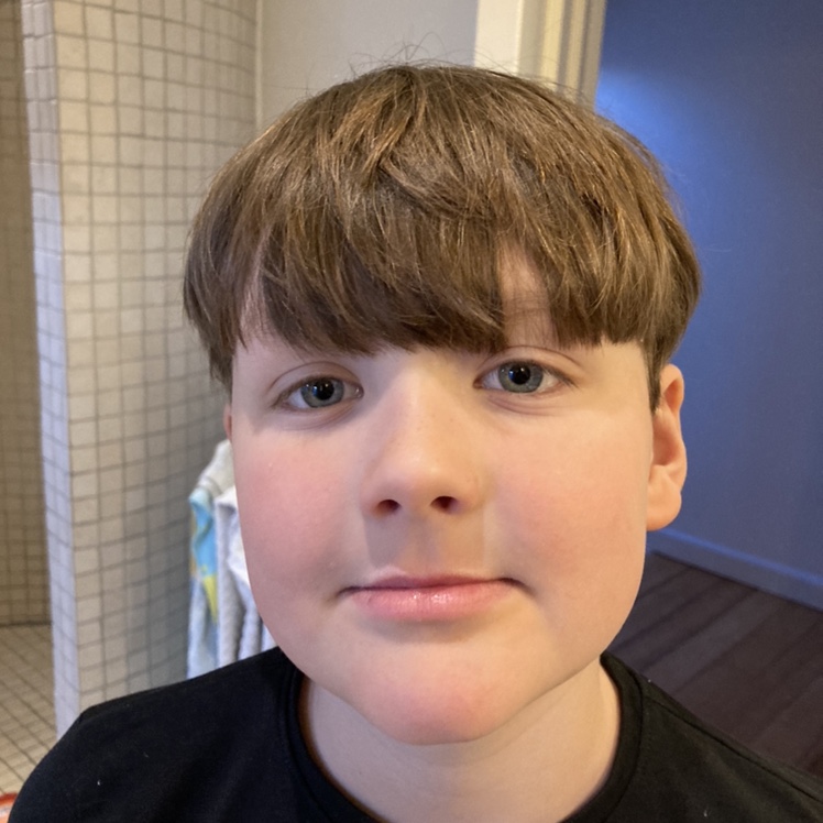 profil