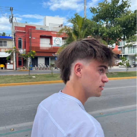 profil
