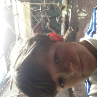 profil