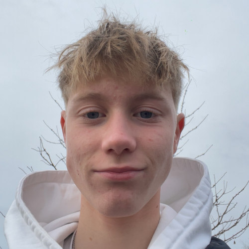 profil