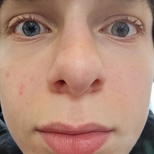 profil