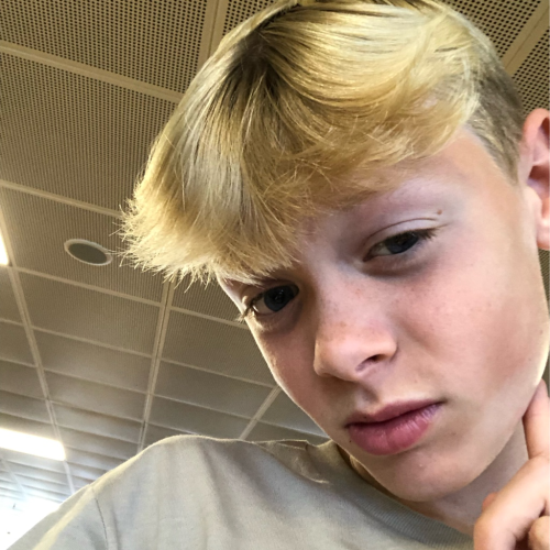 profil
