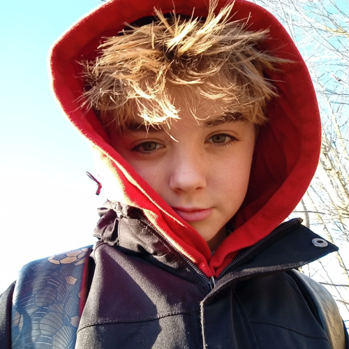 profil