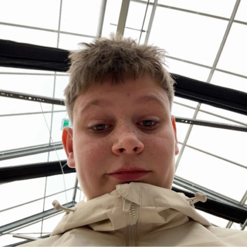 profil