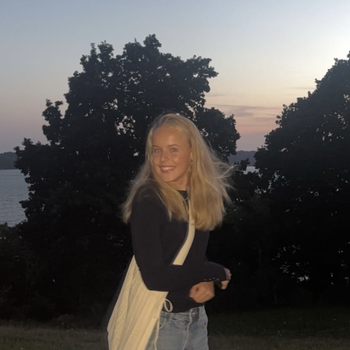 profil