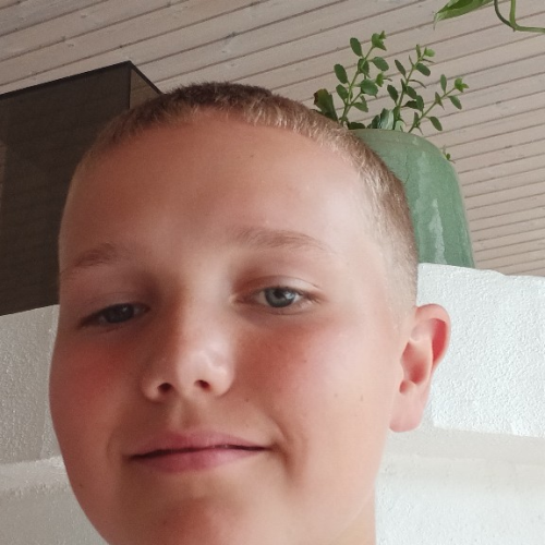 profil