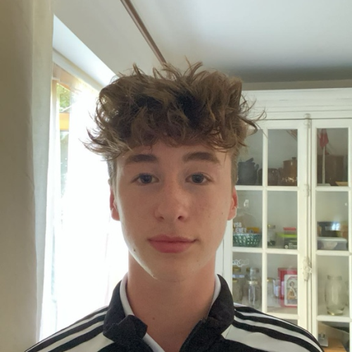 profil